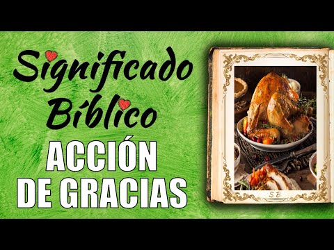 Descubre los mejores ejemplos de acciones de gracias para inspirarte